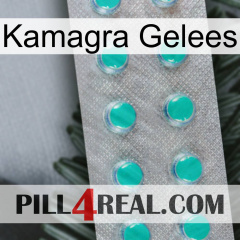 Kamagra Jellies 28